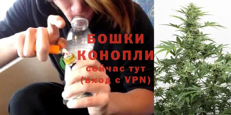 где купить наркоту  Бугульма  OMG как зайти  Каннабис сатива 